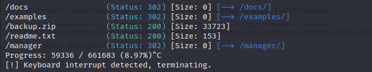 cor2 gobuster.png